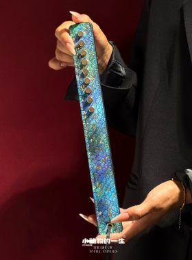 皮拍子实践工具套装colay道具马鞭sp不疼拍蛇纹铆钉金箔戒尺打pp