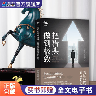把猎头做到极致:我这样做到百万猎头顾问(百万猎头私家经验分享)从零开始学做猎头高手HR人力资源招聘人才人才甄别人才测评薪酬