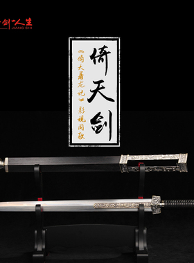 正品龙泉蒋氏宝剑倚天剑汉剑刀具防身冷兵器收藏刀剑未开刃旗舰店