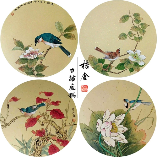 [Нет шагов] Dai Qingchi Gongbi Painting Baihua Draft Torch Poor Curmine Birds Набор из четырех новичков, копия, оригинальный большой размер 35*35 см линии цветов и птиц TD05