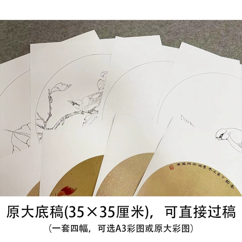 [Нет шагов] Dai Qingchi Gongbi Painting Baihua Draft Torch Poor Curmine Birds Набор из четырех новичков, копия, оригинальный большой размер 35*35 см линии цветов и птиц TD05