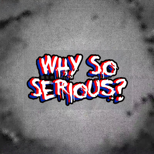 WHYSOSERIOUS英文个性装饰贴