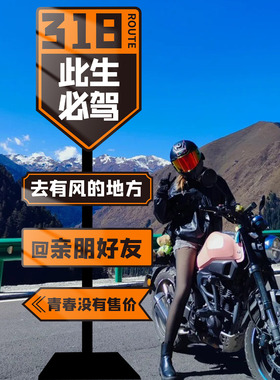 此生必驾318网红路牌打卡拍照区氛围布置广告路标提示牌户外广告牌汽车美容店门口装饰吸引人摆件指示导向牌