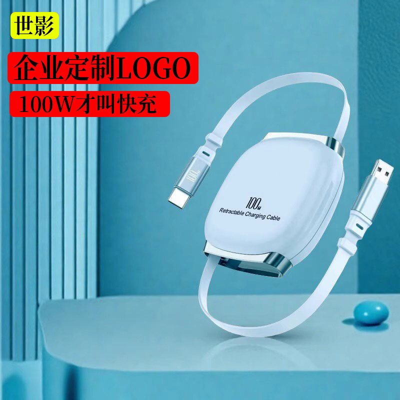 LOGO定制100W超级快充PD数据线