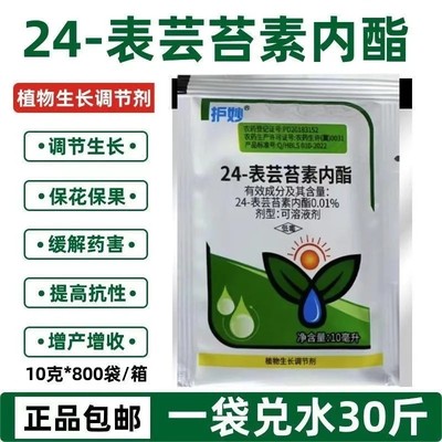 24表芸苔素内酯脂水稻柑橘小麦黄瓜促生长促根植物生长调节剂