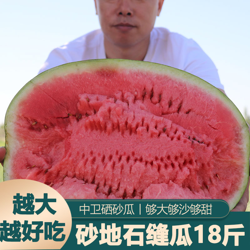 沙瓤脆甜宁夏硒砂瓜石缝瓜