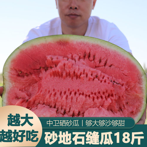 沙瓤脆甜宁夏硒砂瓜石缝瓜