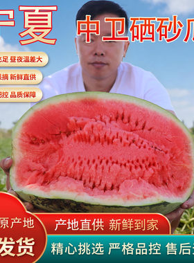 正宗宁夏中卫硒砂瓜西瓜石缝瓜