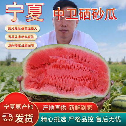 正宗宁夏中卫硒砂瓜西瓜石缝瓜当季新鲜水果沙瓤压砂瓜18斤整箱甜