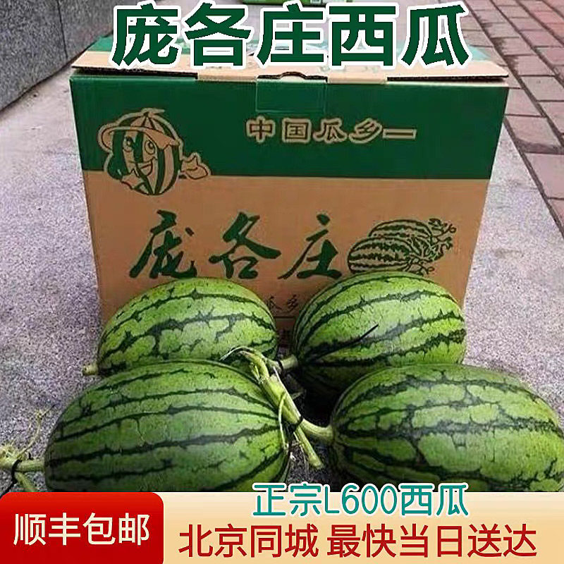 【顺丰】正宗北京庞各庄西瓜爆甜