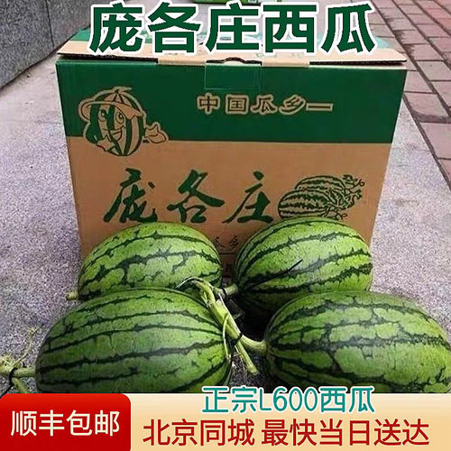 【顺丰】正宗北京庞各庄西瓜爆甜
