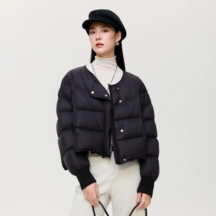 品牌新款 Z5D0031