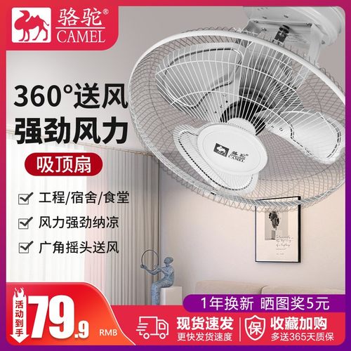骆驼吸顶扇楼顶扇家用吊扇客厅吊顶扇学校摇头电风扇静音遥控扇