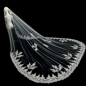 新娘结婚主婚纱头纱韩式 大拖尾蕾丝花边头纱超仙户外拍照头纱 长款