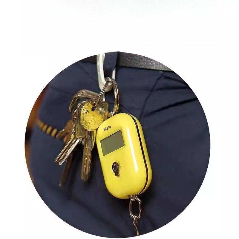 精准迷你手提电子秤高精度小型便携式吊秤弹簧秤家用钩称随身称克