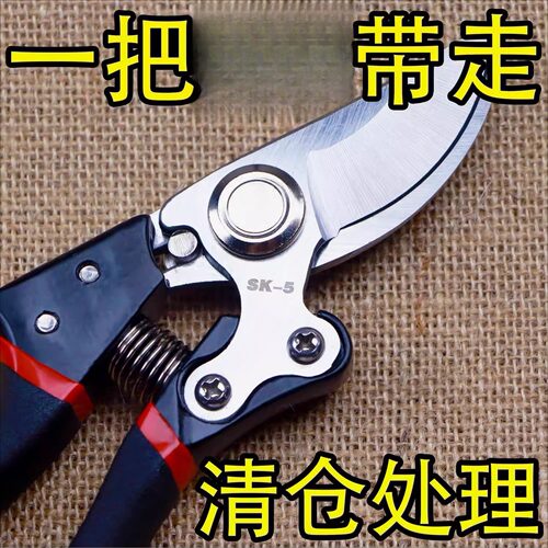 果树专用修枝剪刀进口钢粗枝剪省力园艺修花木果树嫁接园林剪农用