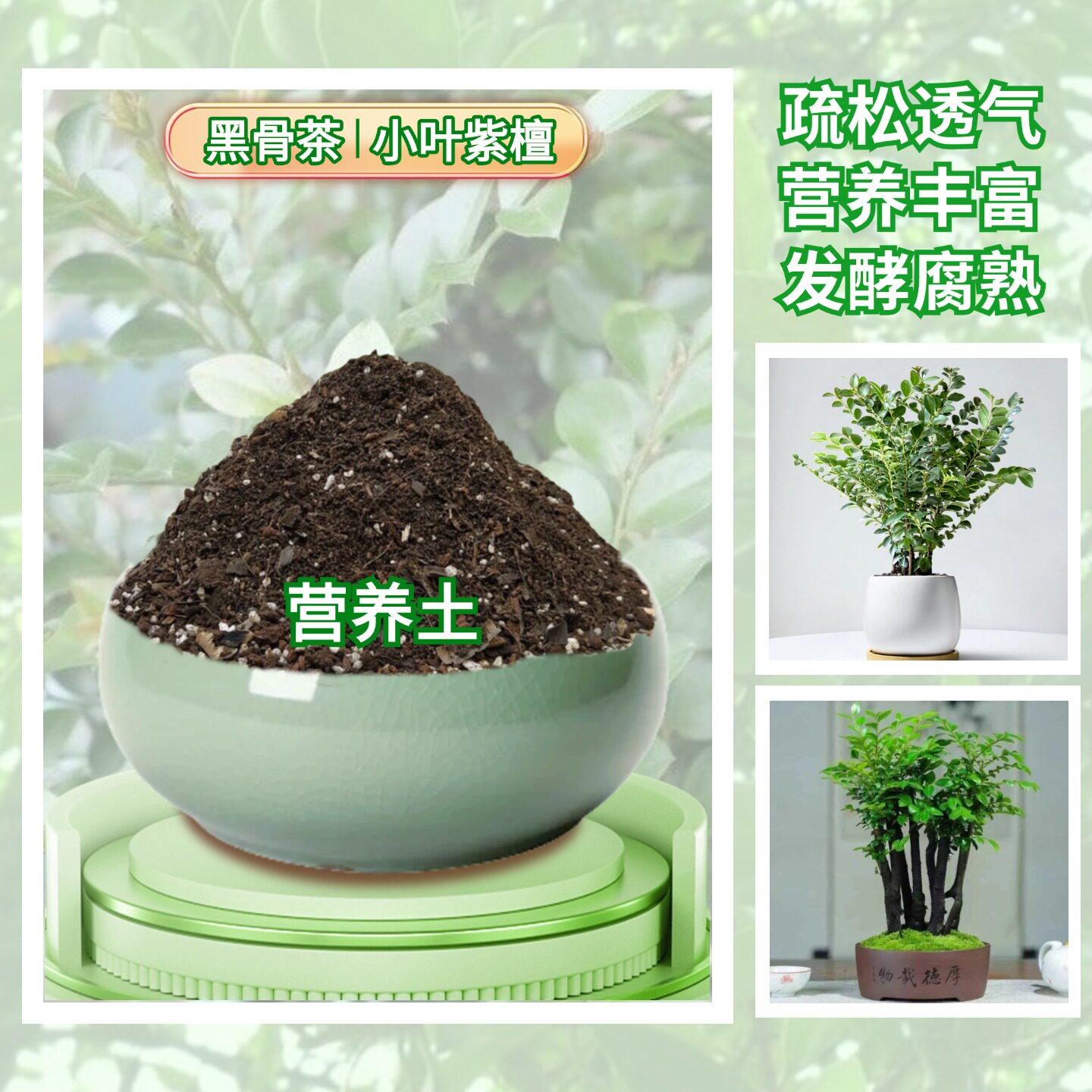 黑骨茶小叶紫檀营养花土疏松肥沃阳台盆景老桩树苗绿植专用种植土