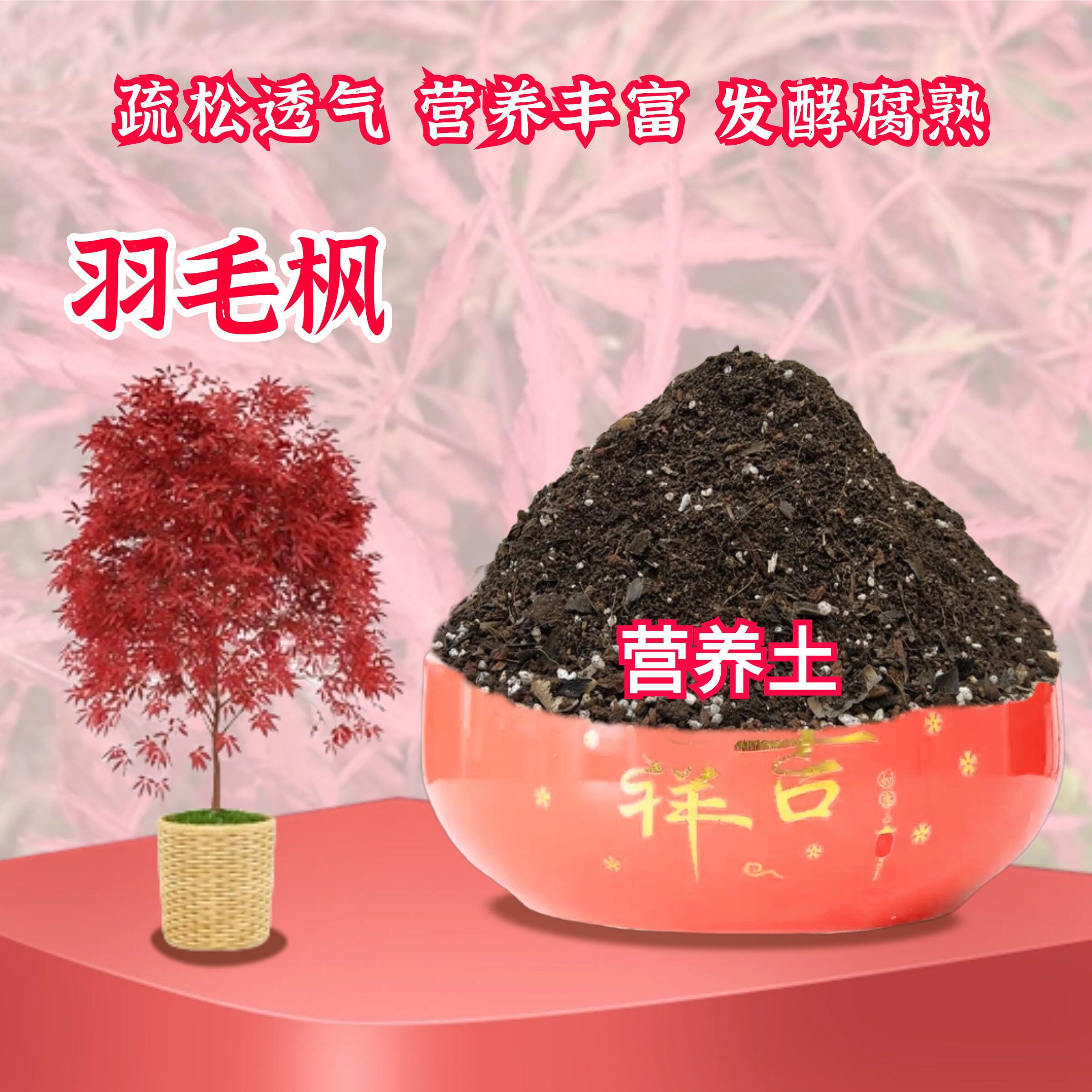 羽毛枫营养花土盆栽种植土图片