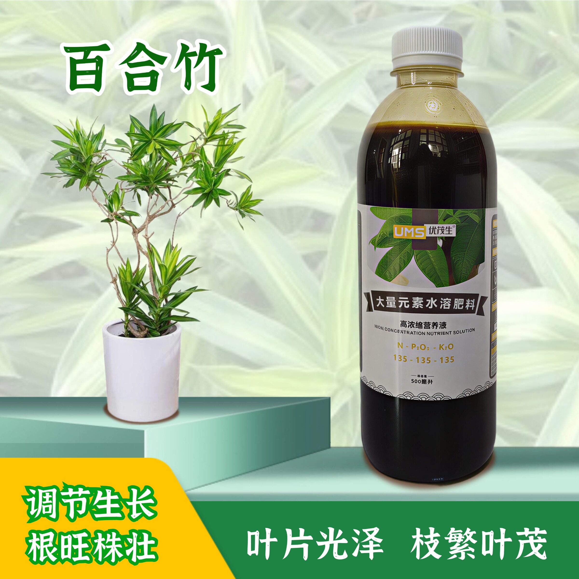 百合竹盆栽营养液水溶肥料图片