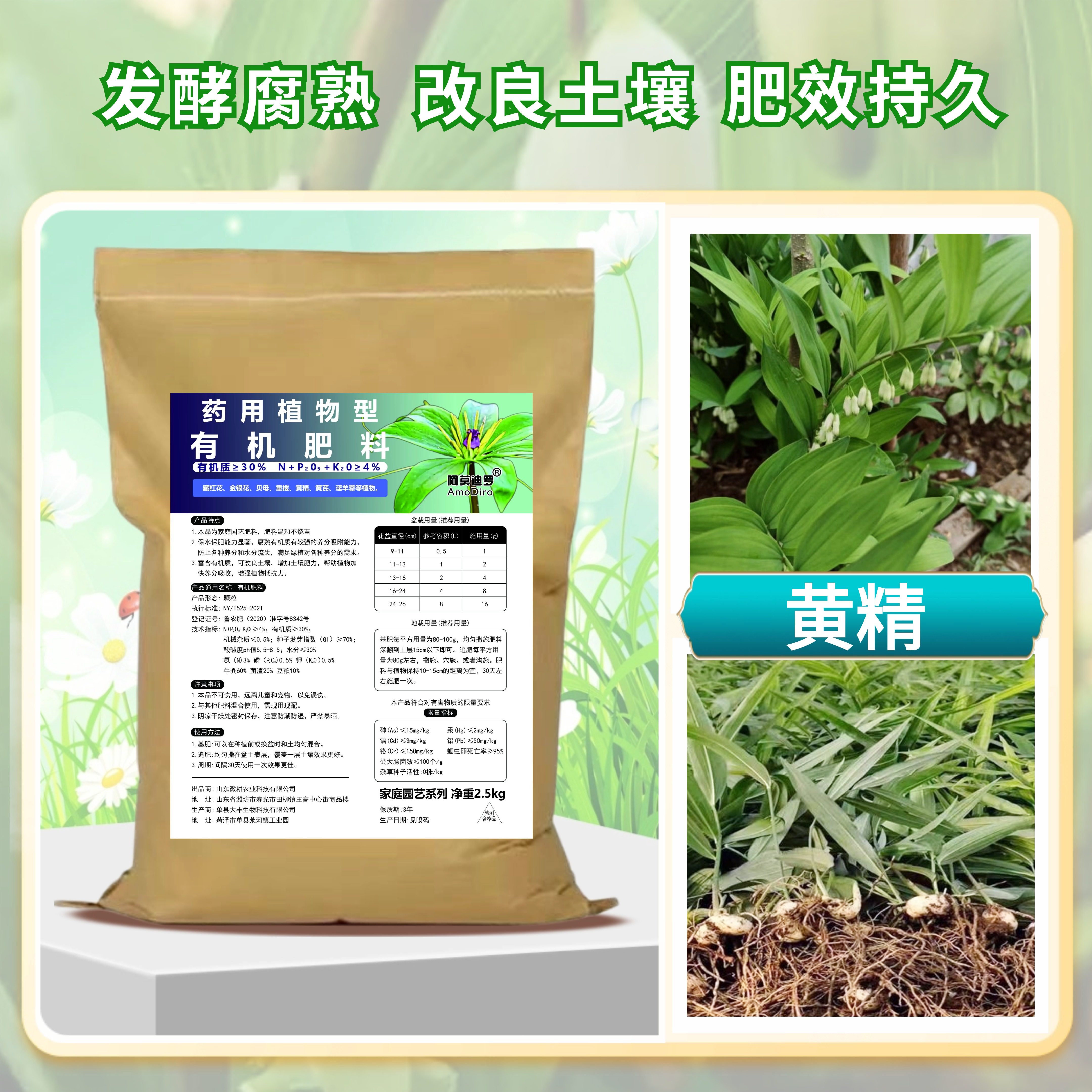 黄精种植苗滇黄精老虎姜有机肥图片
