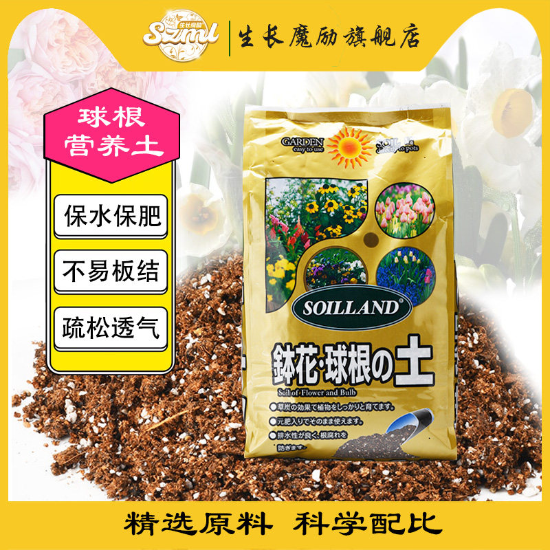 球根植物专用郁金香马蹄莲百合图片