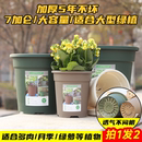 绿植盆控根花盆月季 生长魔励升级款 铁线莲二代加仑花盆树脂塑料盆