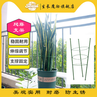 生长魔励爬藤架子花支架月季 花架室内支撑杆绿萝铁线莲攀爬架园艺