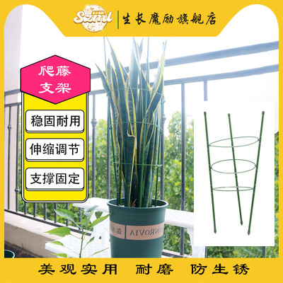 铁质花盆支架植物固定