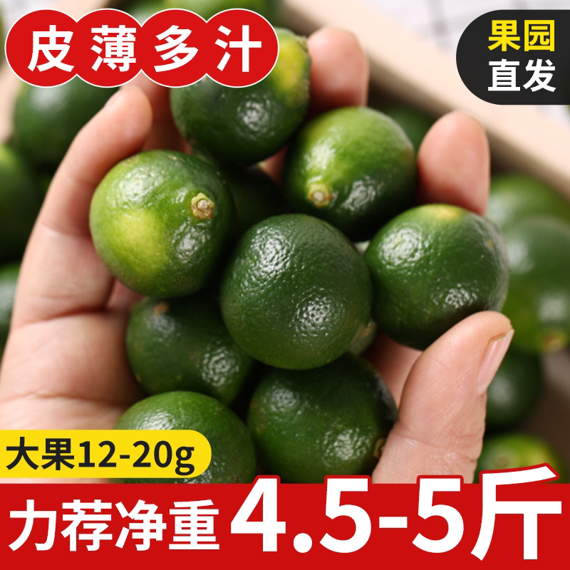 海南青金桔新鲜金桔小青柑新鲜