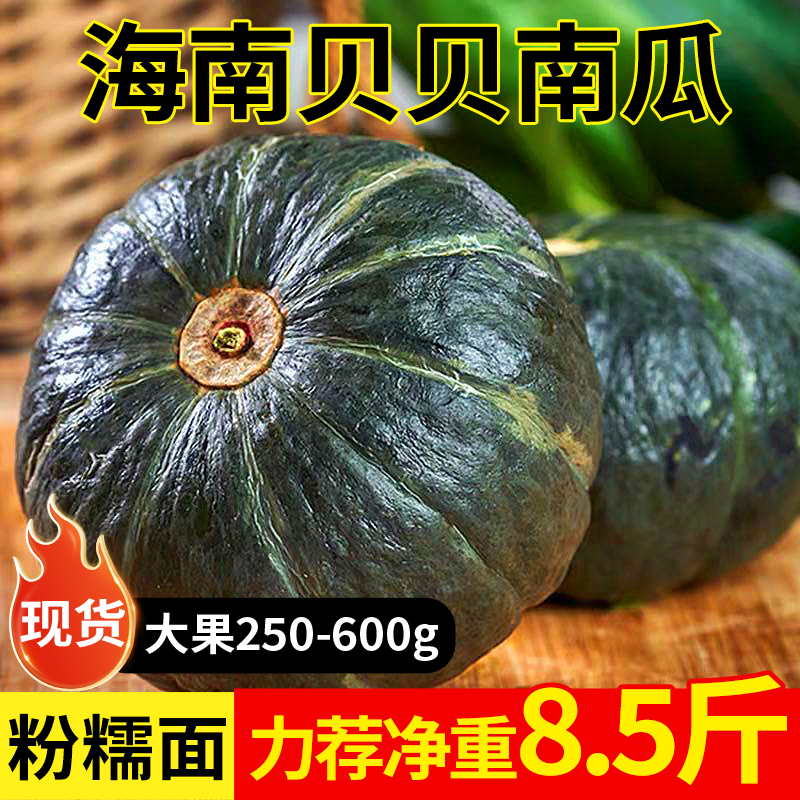 海南贝贝南瓜板栗味贵族小南瓜