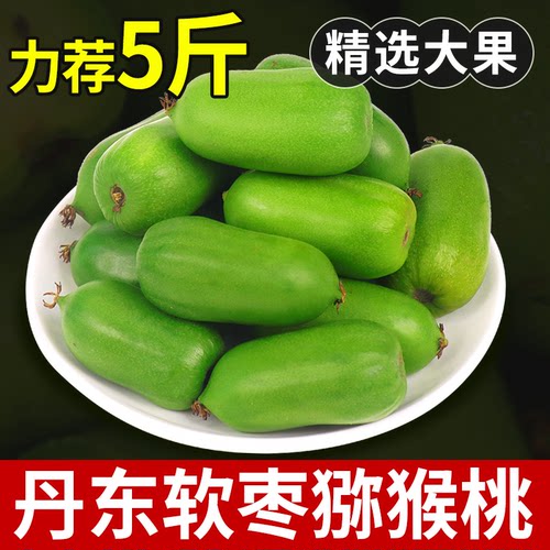 丹东软枣猕猴桃新鲜水果应应当季