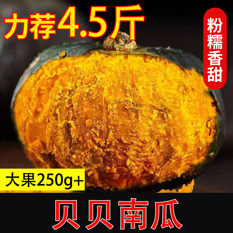 贝贝南瓜板栗味贵族小南瓜