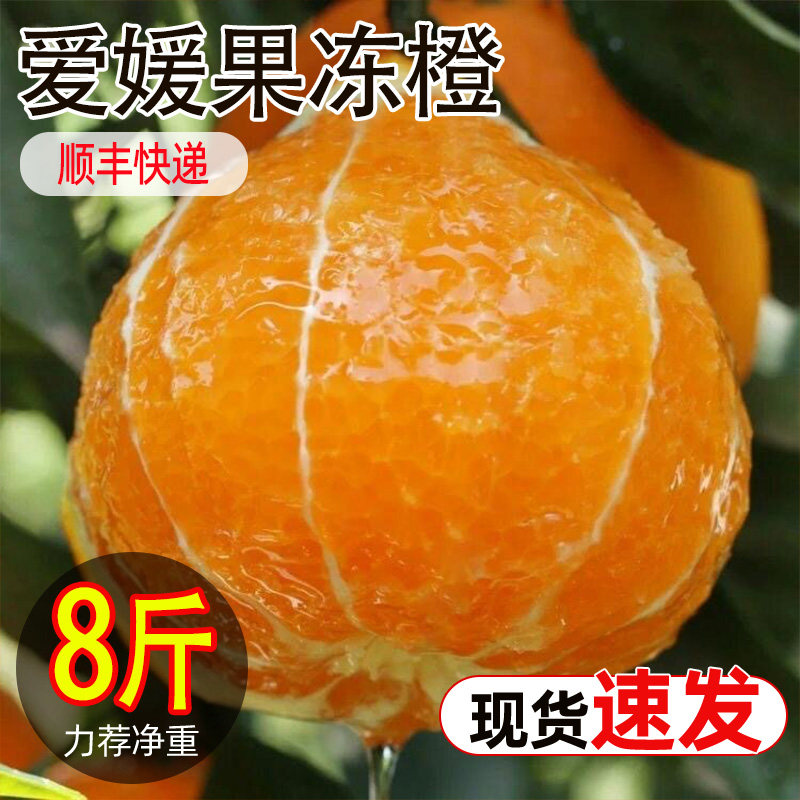 四川爱媛果冻橙当季时令新鲜水果