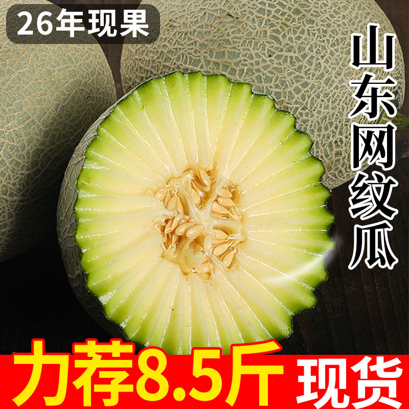 新鲜水果正宗山东网纹瓜
