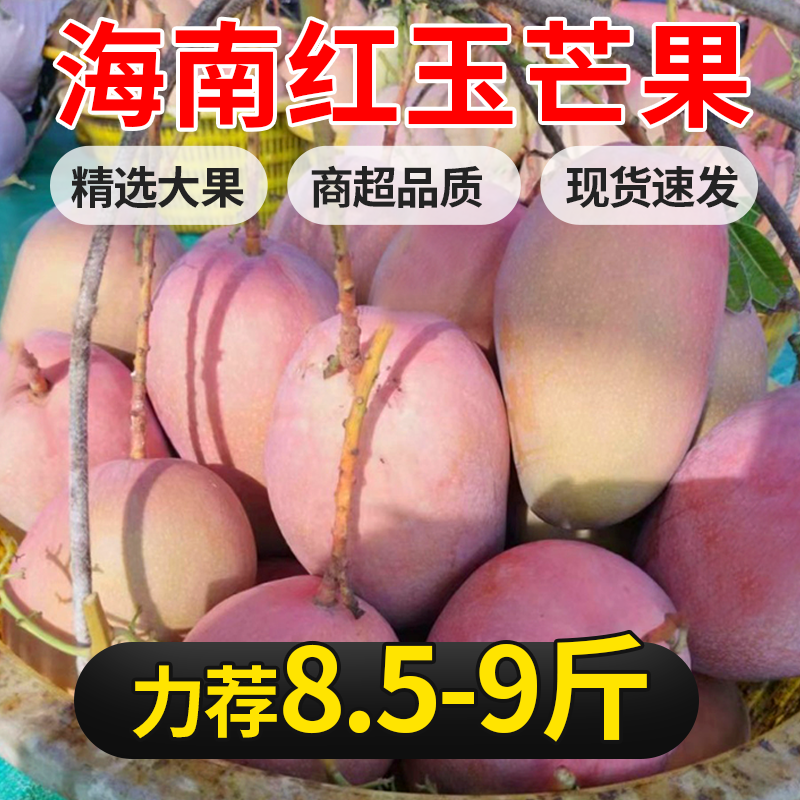 海南特产红玉芒果三亚红色芒果应季热带水果当季新鲜水果现摘现发