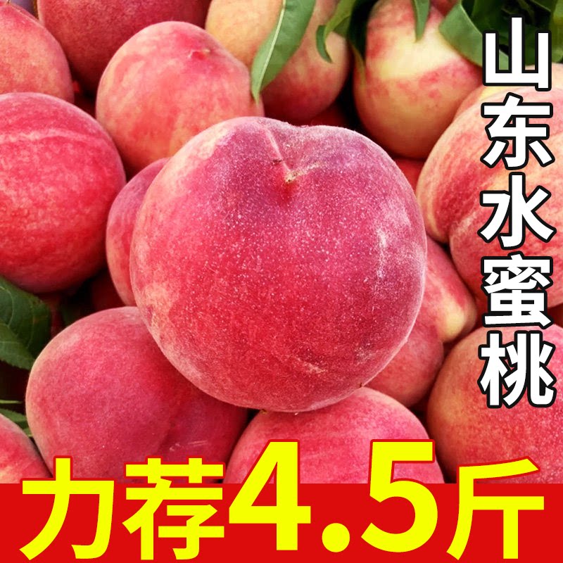 山东红毛水蜜桃新鲜时令水果速发