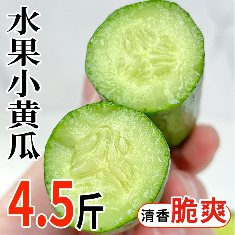 山东水果小黄瓜新鲜水果