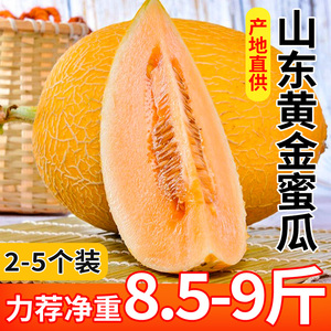 山东黄金蜜瓜哈密瓜新鲜水果