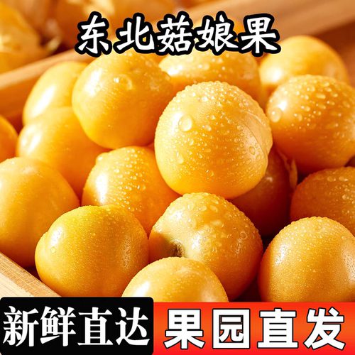 顺丰快递东北姑娘果新鲜菇娘果