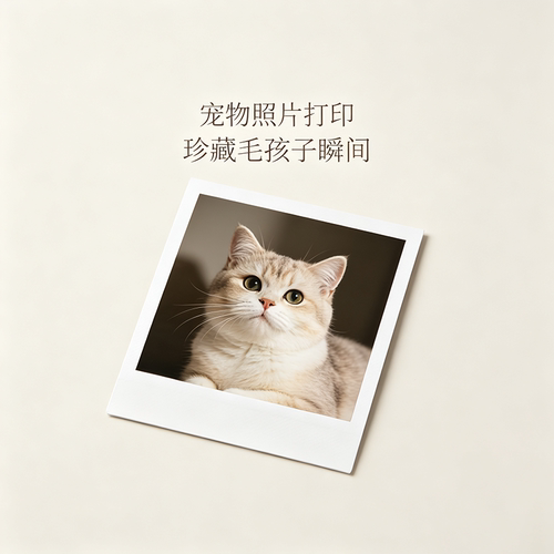 宠物照片打印来图定制3寸