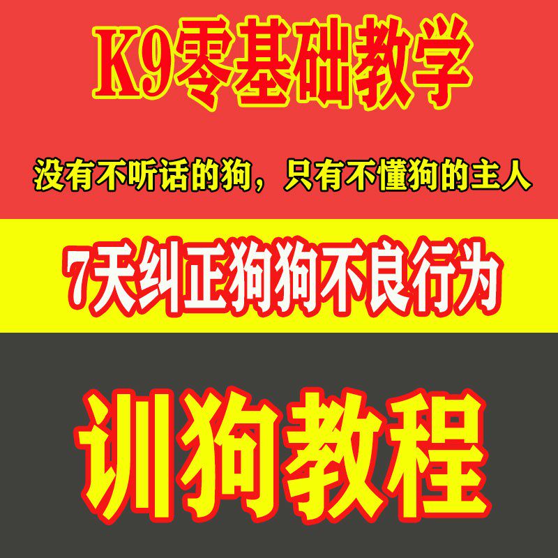 纠正宠物狗不良行为训练犬视频新手教程金毛泰迪上厕所吠乱叫拆家