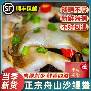 舟山沙鳗鲞沙鳗干淡晒鳗鱼干整条大鱼干海鲜水产干货油鳗干鳗鱼鲞