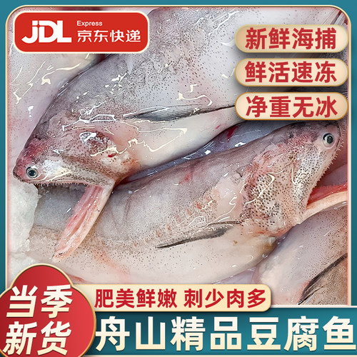 精品大号豆腐鱼净重无冰衣
