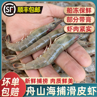 舟山海捕滑皮虾新鲜条虾呛虾硬壳虾活虾新鲜速冻海鲜水产批发包邮