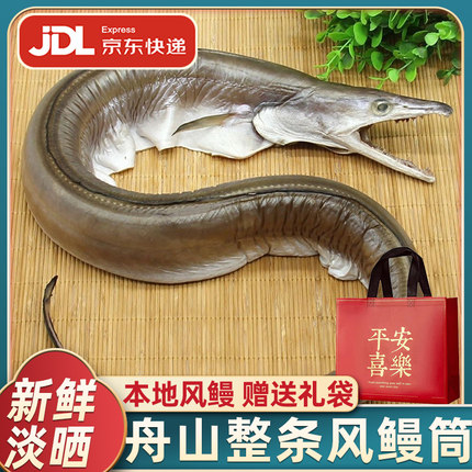 舟山风鳗筒淡晒新货自然风干海鳗鱼干整条鳗鱼筒鳗鲞海鲜干货特产