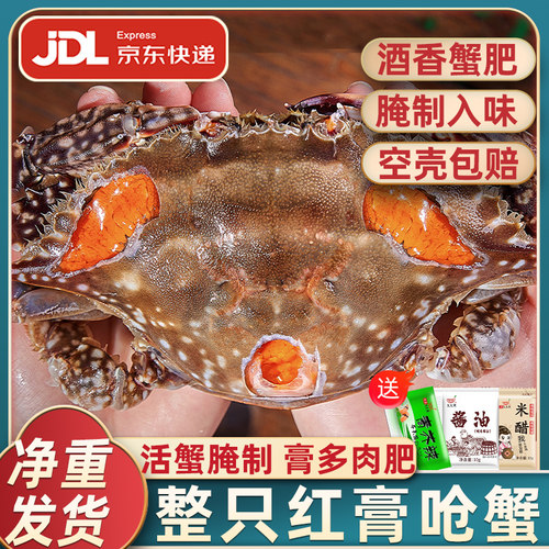 正宗宁波红膏呛蟹膏多肉肥