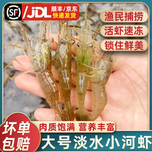 正宗微山湖精品大号小河虾