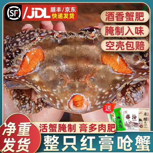 正宗宁波红膏呛蟹膏多肉肥