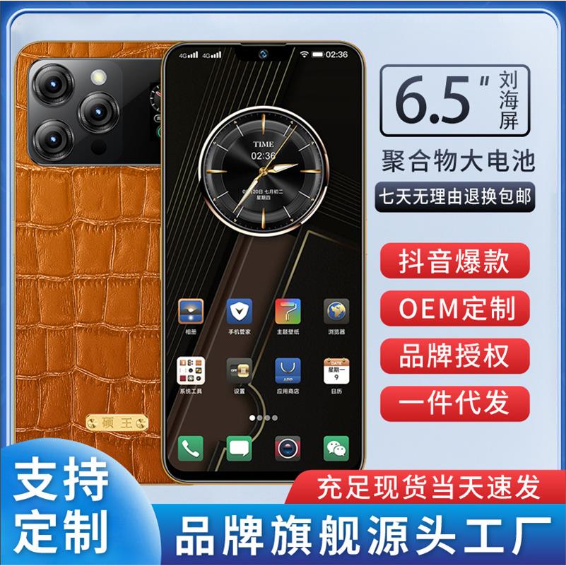 硕王时尚轻奢老人商务智