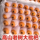 新鲜现摘云南蒙自枇杷果琵琶农家直发多汁孕妇水果止咳润肺大枇杷